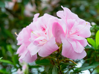 Similar image 21835884