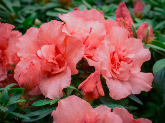 Similar image 21835892