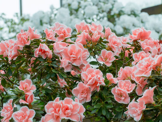 Similar image 21835896