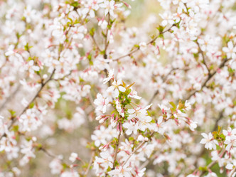 Similar image 21835904