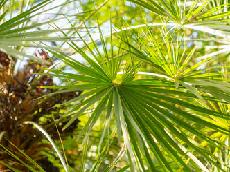 Similar image 21836448