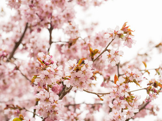 Similar image 21836449