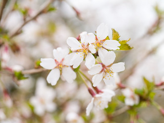 Similar image 21836452