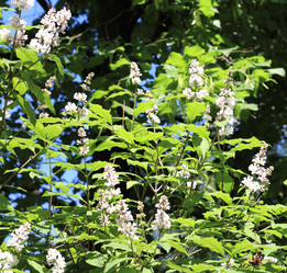 Similar image 21829666