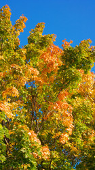 Similar image 21829669