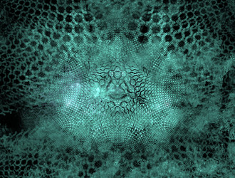 Similar image 21840017