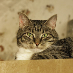 Similar image 21840524