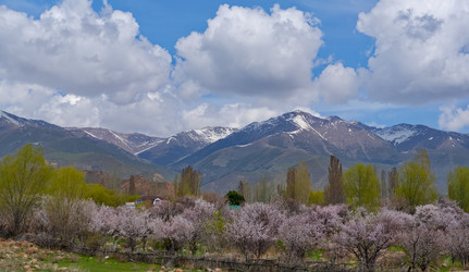 Similar image 21837065