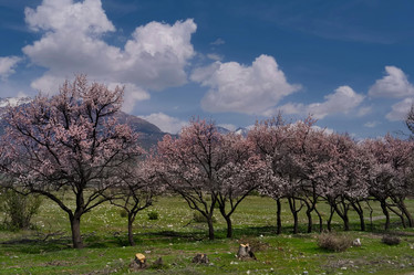 Similar image 21837066