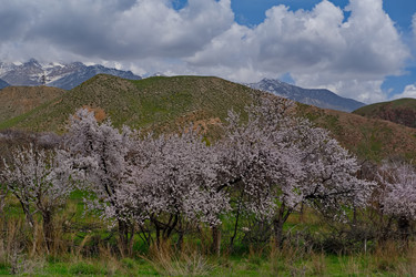 Similar image 21837067