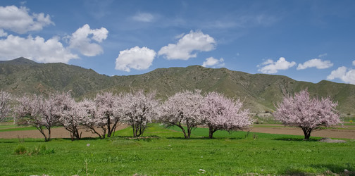 Similar image 21837068