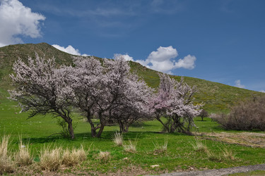 Similar image 21837070