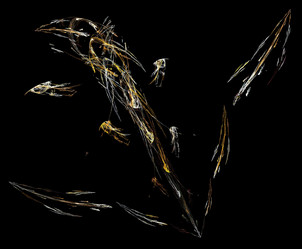 Similar image 21829716