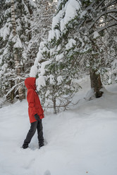 Similar image 21838344