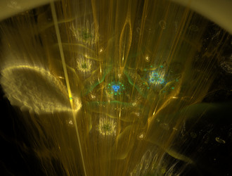 Similar image 21834836