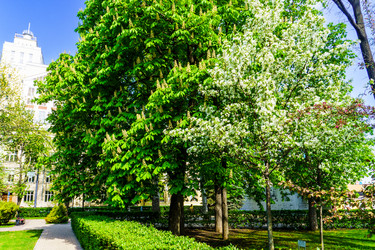 Similar image 21837274