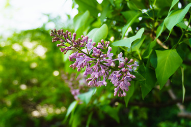 Similar image 21837277