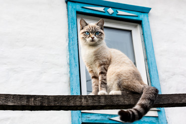 Similar image 21828368