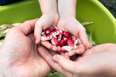 Similar image 21828369