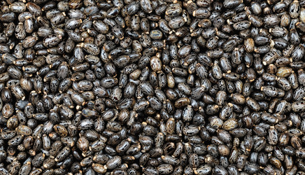 Similar image 21828372