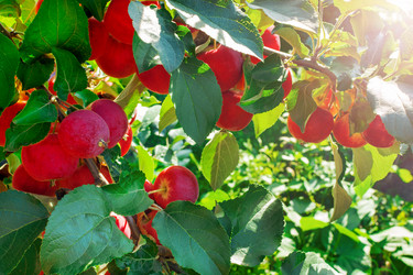 Similar image 21828378