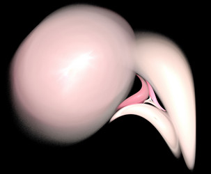 Similar image 21829539