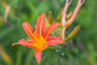 Similar image 21848003