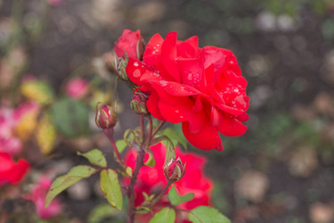 Similar image 21848004