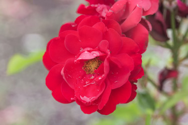 Similar image 21848005