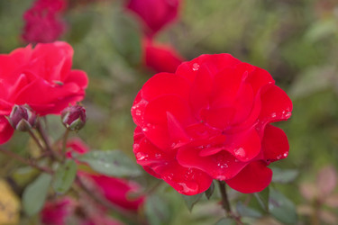 Similar image 21848006