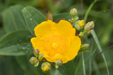 Similar image 21848007