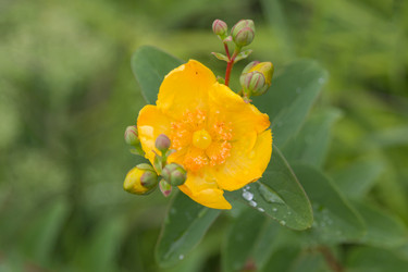 Similar image 21848008