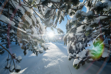 Similar image 21831236