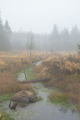 Similar image 21828379