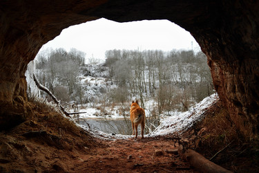 Similar image 21828383