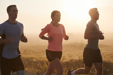 Similar image 21830996