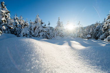 Similar image 21831752