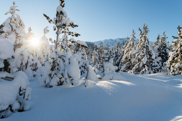 Similar image 21831466