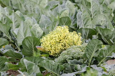 Similar image 21833345