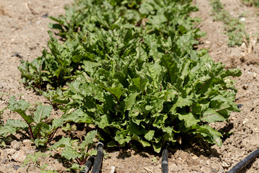 Similar image 21840526