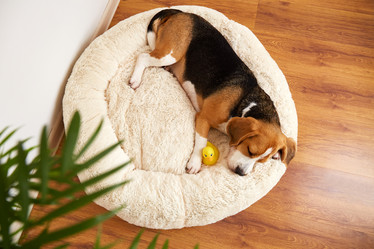 Similar image 21849145