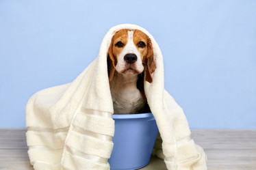 Similar image 21849146