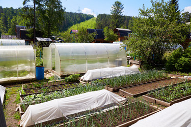 Similar image 21849150