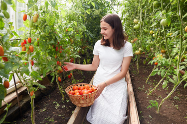 Similar image 21849153