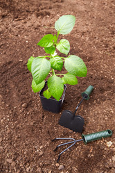 Similar image 21849155