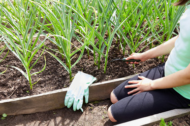 Similar image 21849156