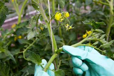 Similar image 21849157