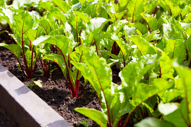 Similar image 21849159