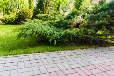 Similar image 21840602