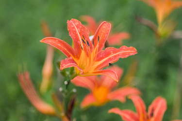 Similar image 21848009